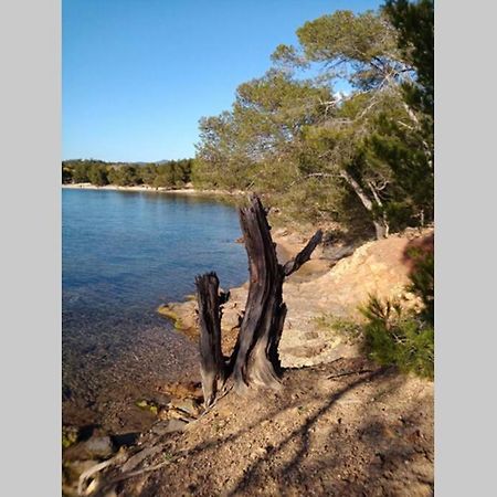 Face Mer Entre Plage Et Marina Bormes-les-Mimosas Exteriör bild