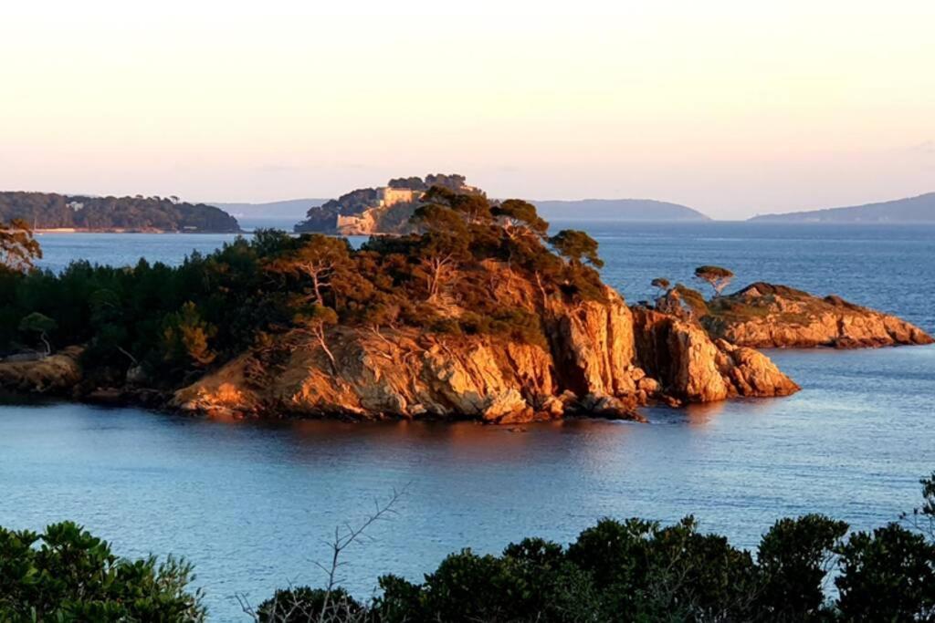 Face Mer Entre Plage Et Marina Bormes-les-Mimosas Exteriör bild