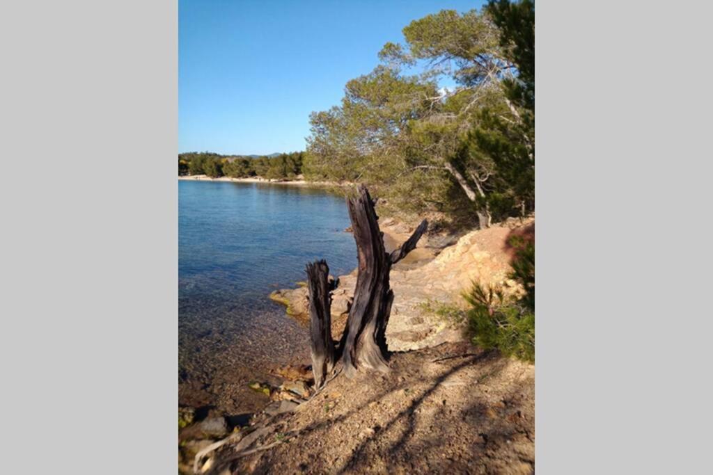 Face Mer Entre Plage Et Marina Bormes-les-Mimosas Exteriör bild